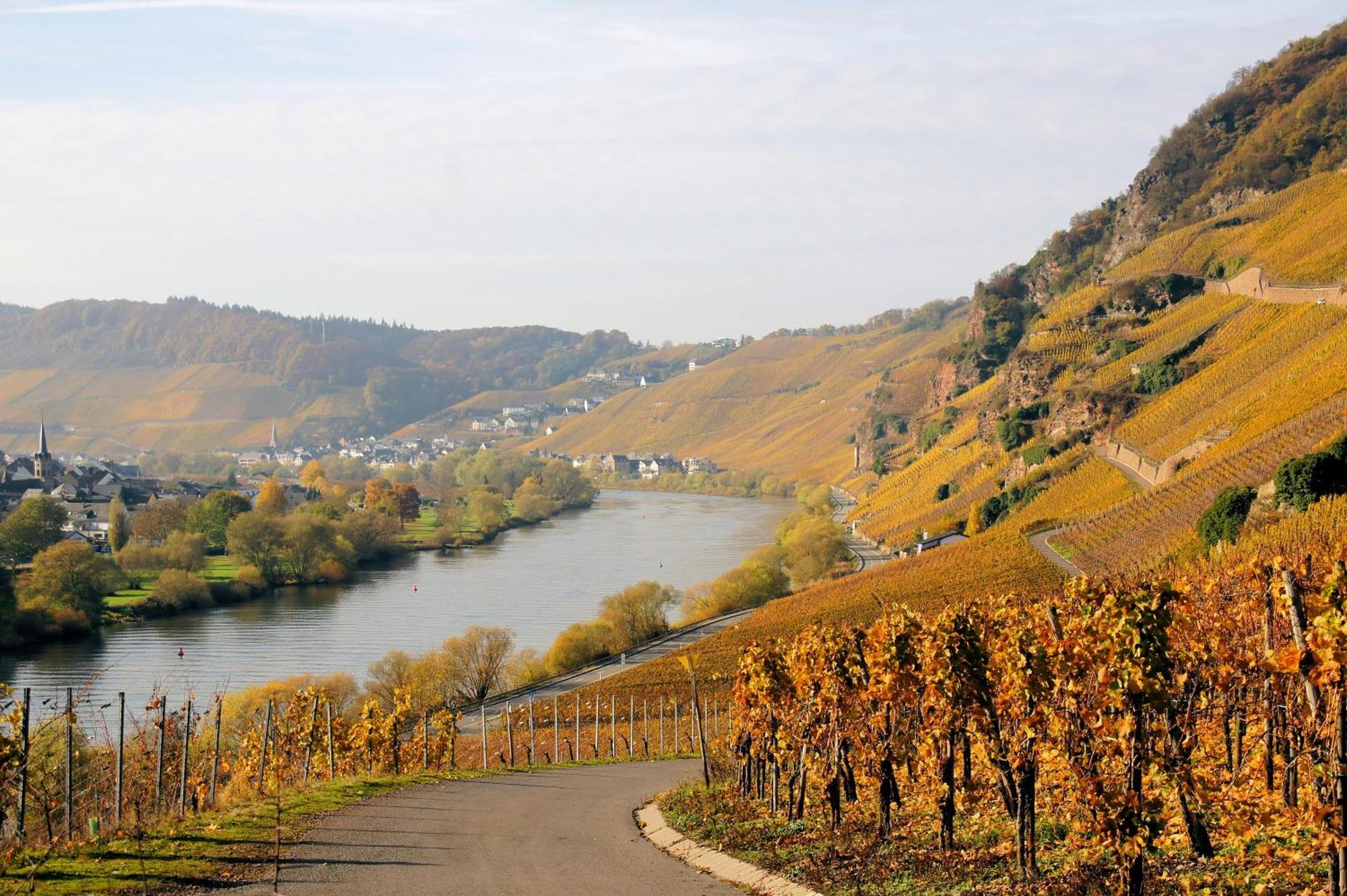 Weingut / Gaestehaus Gerlach 오지그 외부 사진