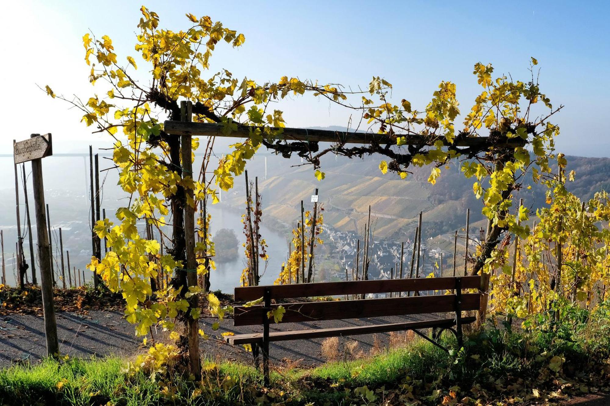 Weingut / Gaestehaus Gerlach 오지그 외부 사진