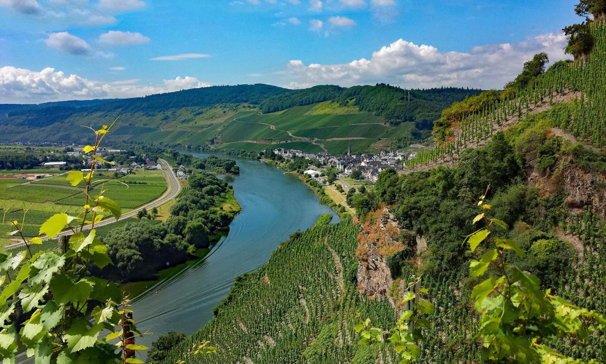 Weingut / Gaestehaus Gerlach 오지그 외부 사진