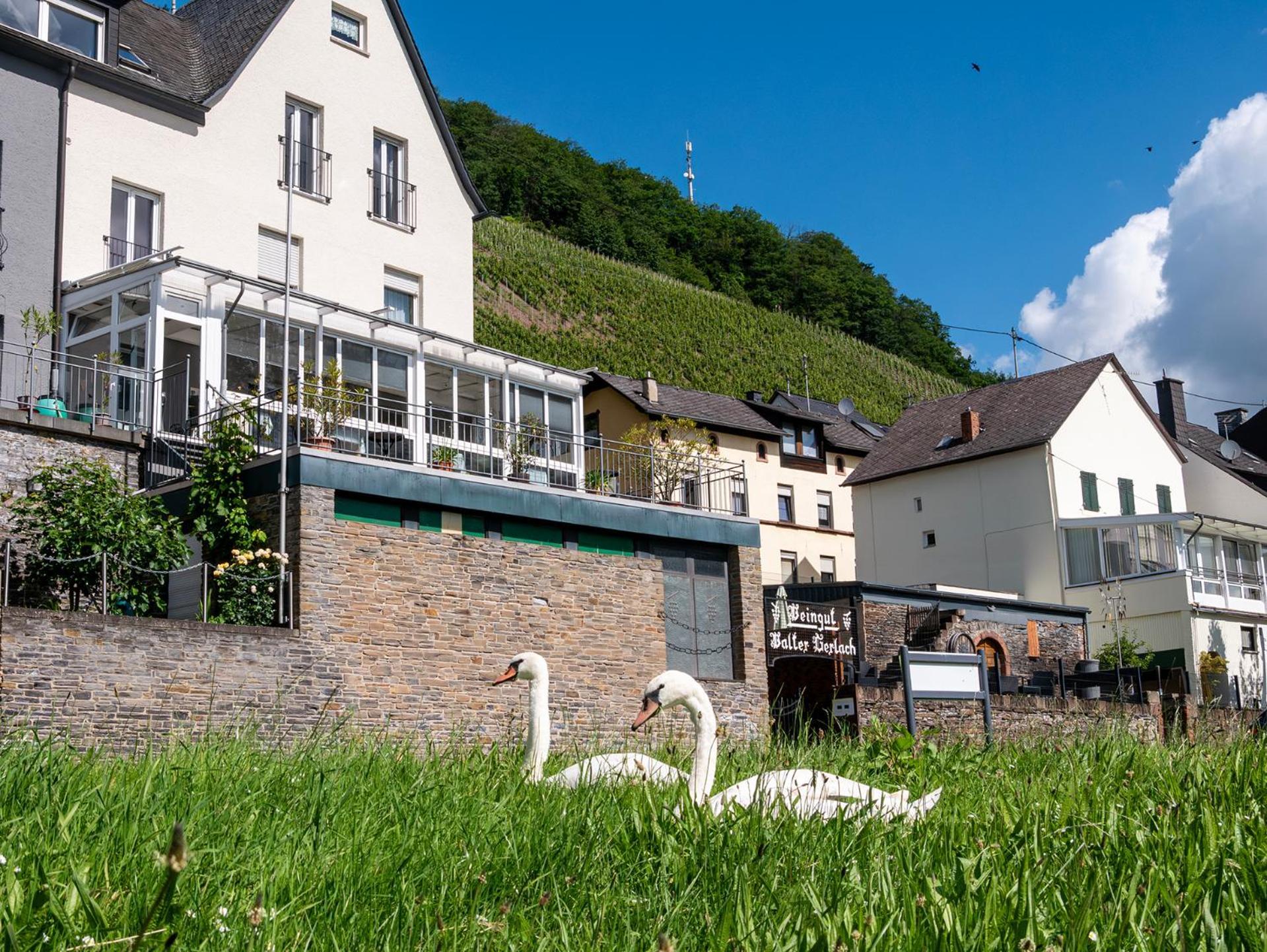 Weingut / Gaestehaus Gerlach 오지그 외부 사진