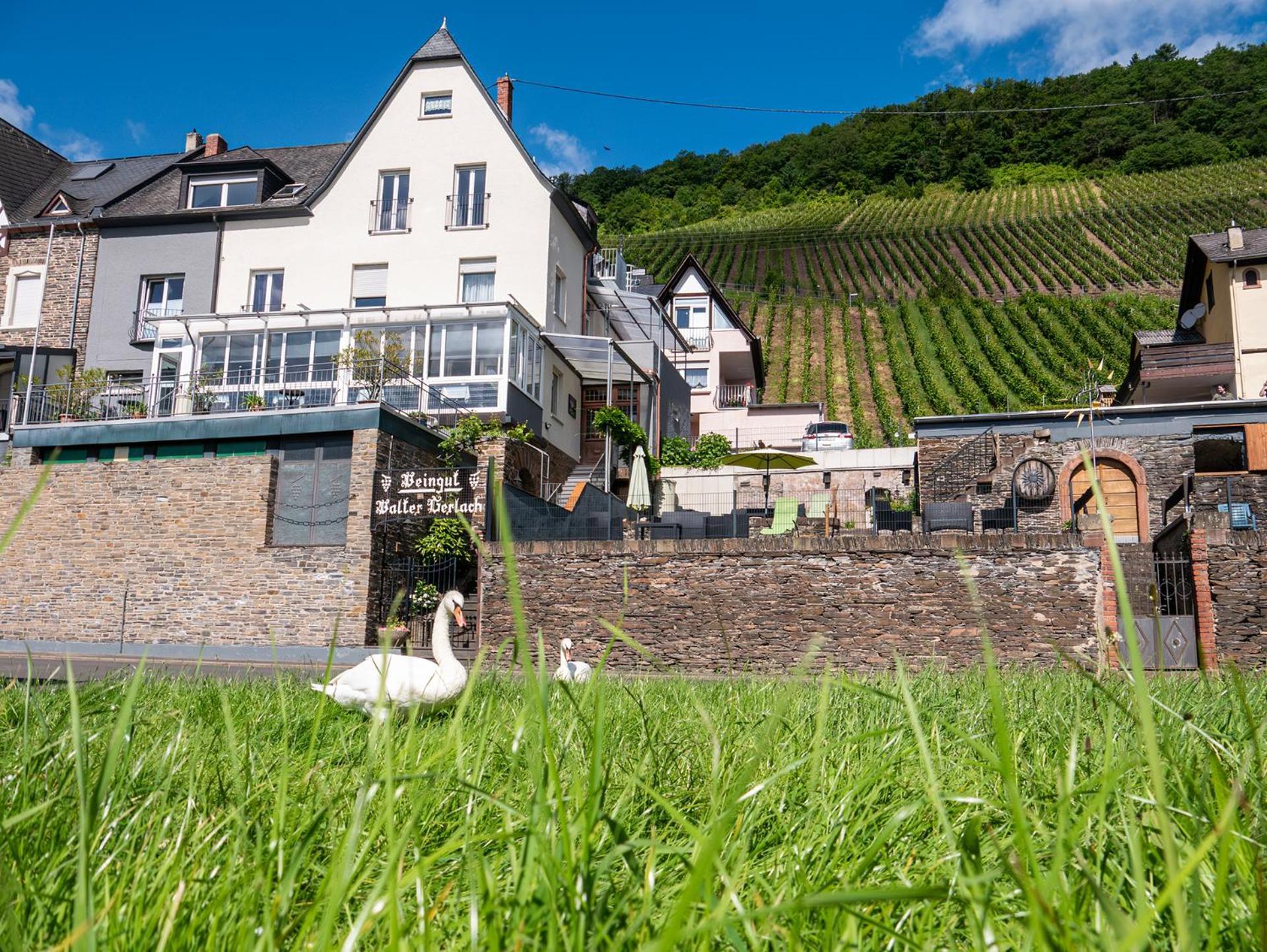 Weingut / Gaestehaus Gerlach 오지그 외부 사진