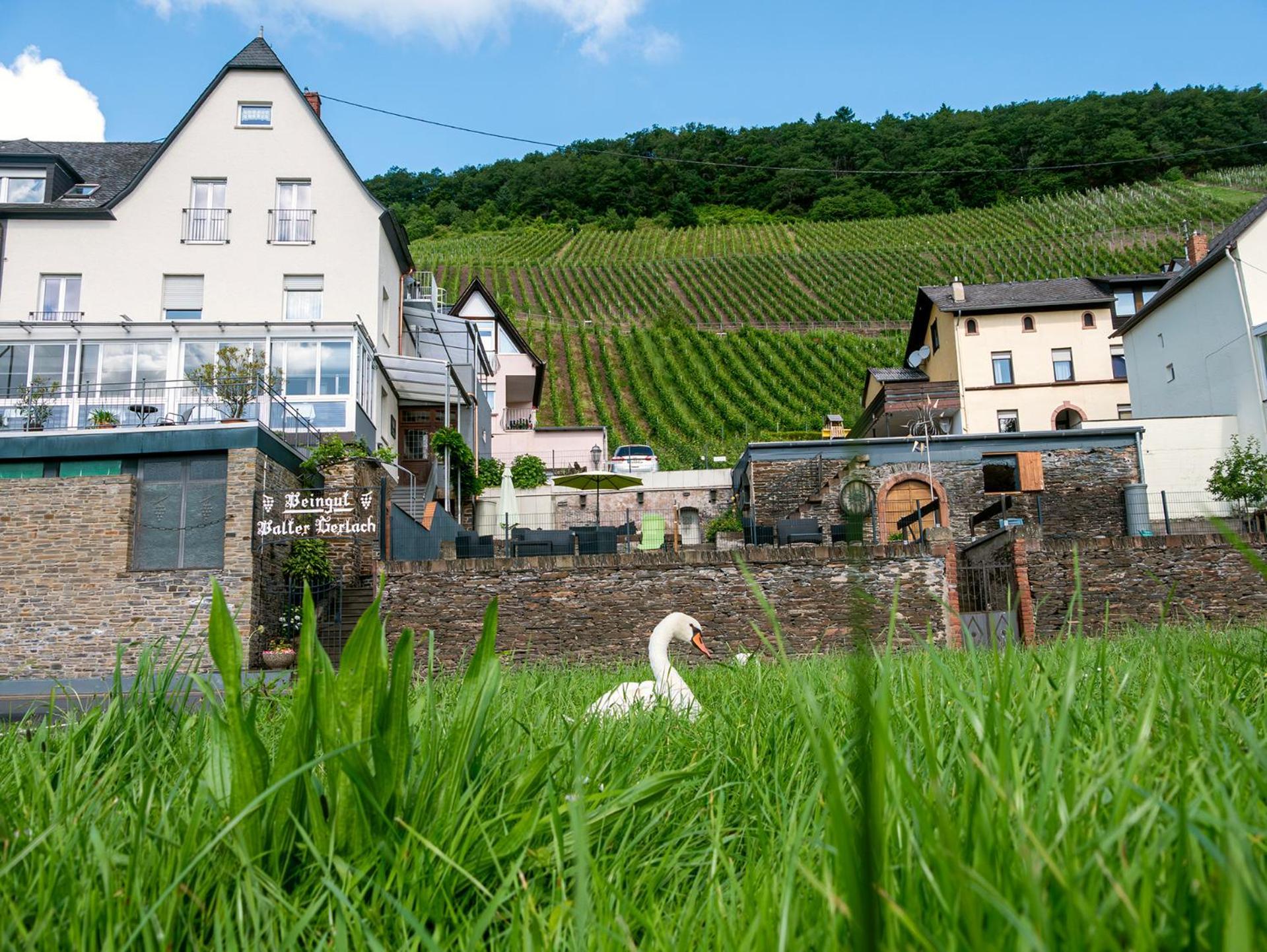 Weingut / Gaestehaus Gerlach 오지그 외부 사진